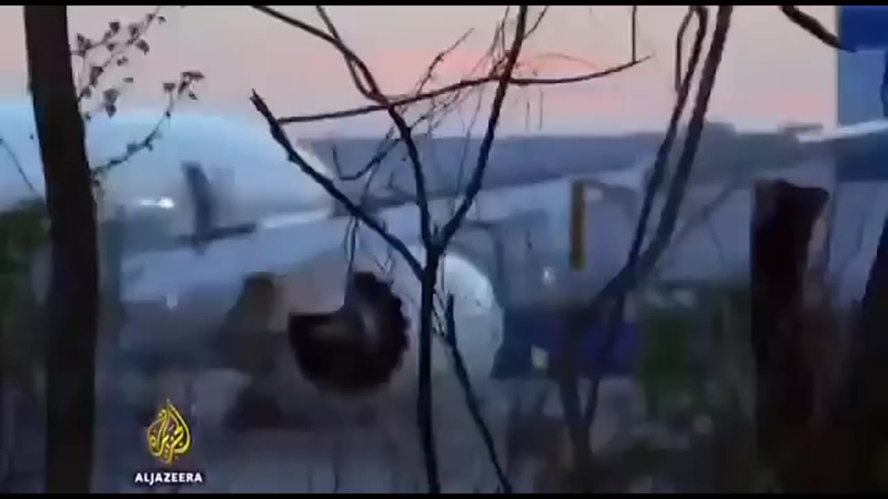 Boeing Employees Refuse to Fly 787 Dreamliner? Shocking Safety Concerns Revealed