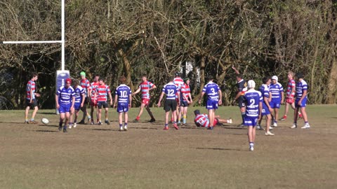 Newport v Baa Baa's