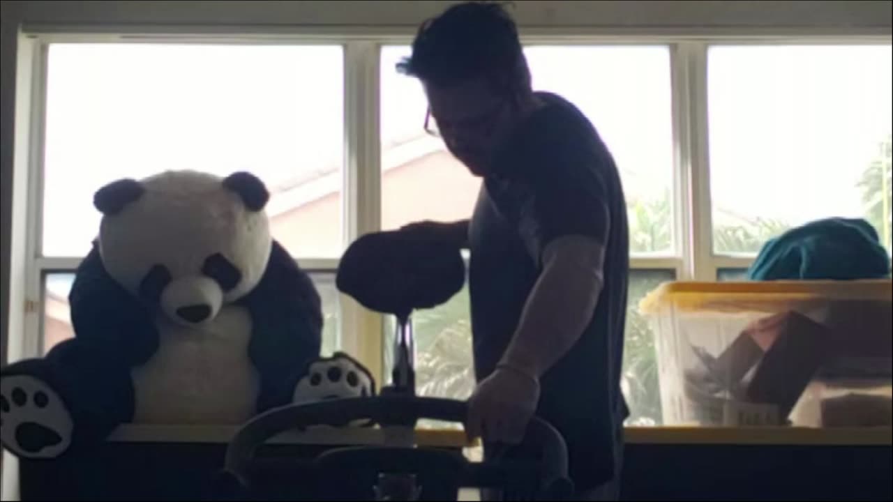 Panda entertainment 🐼