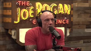 Spiritual Narcissism Alert - Amjad Masad of Replit on JRE #narcissism #psychedelics #addiction