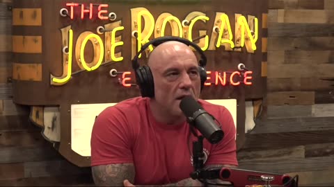 Spiritual Narcissism Alert - Amjad Masad of Replit on JRE #narcissism #psychedelics #addiction