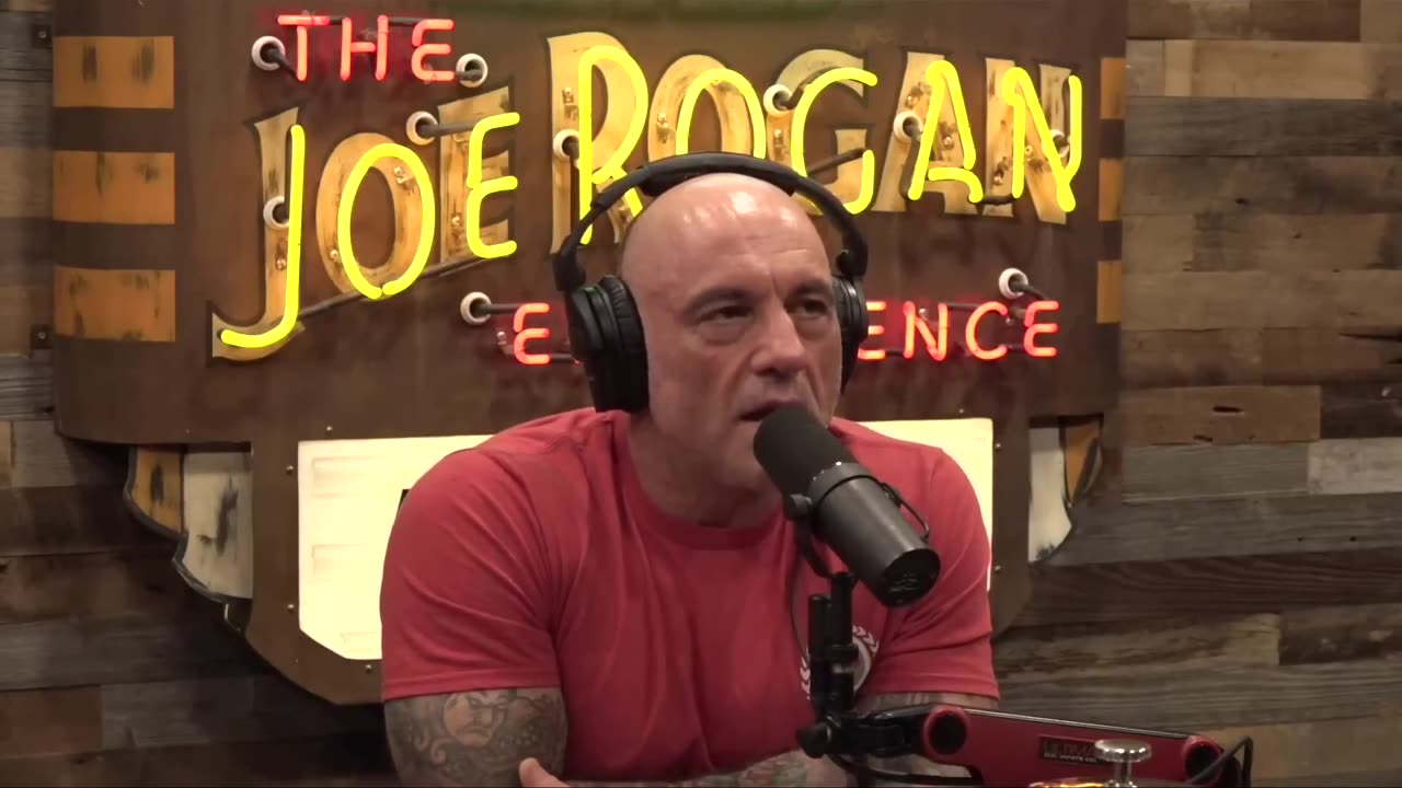 Spiritual Narcissism Alert - Amjad Masad of Replit on JRE #narcissism #psychedelics #addiction