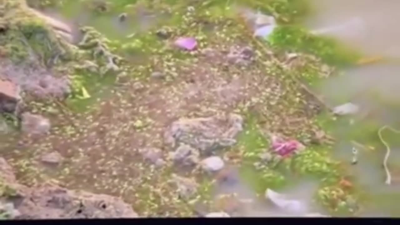 Holy Ganges River