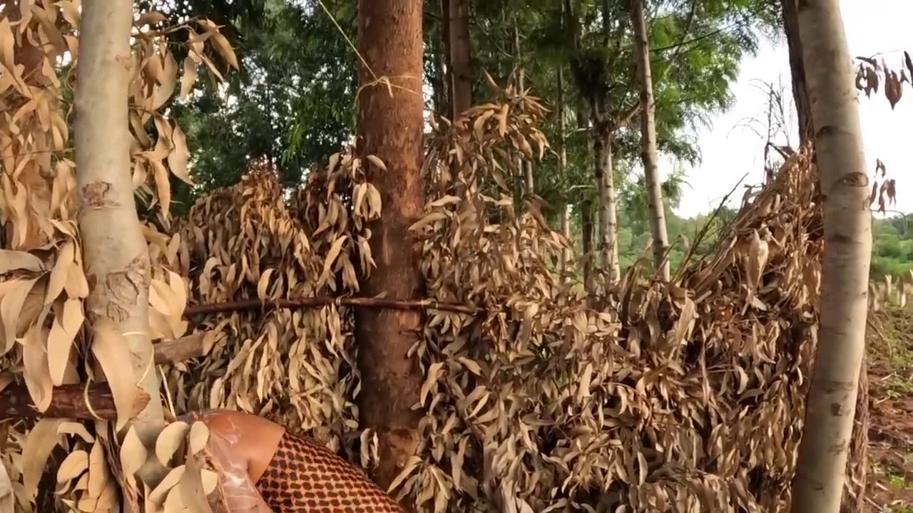 AFRICAN VILLAGE LIFE
