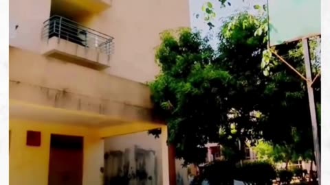 ITM University Hostel Glimpse