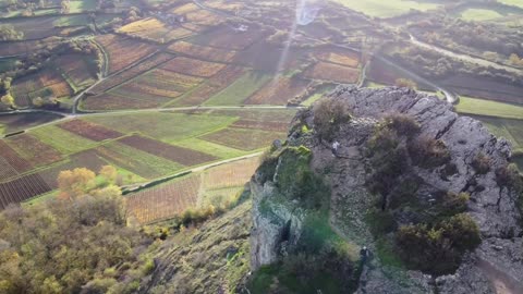 Excado Yolo Coffee Shop Lofi