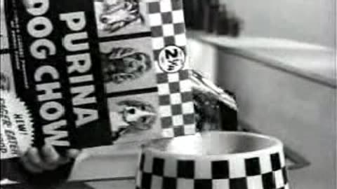 Commercial - Purina Dog Chow (Eager Eater)