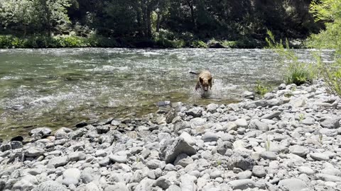 taking a break at the cool stream 29084023984