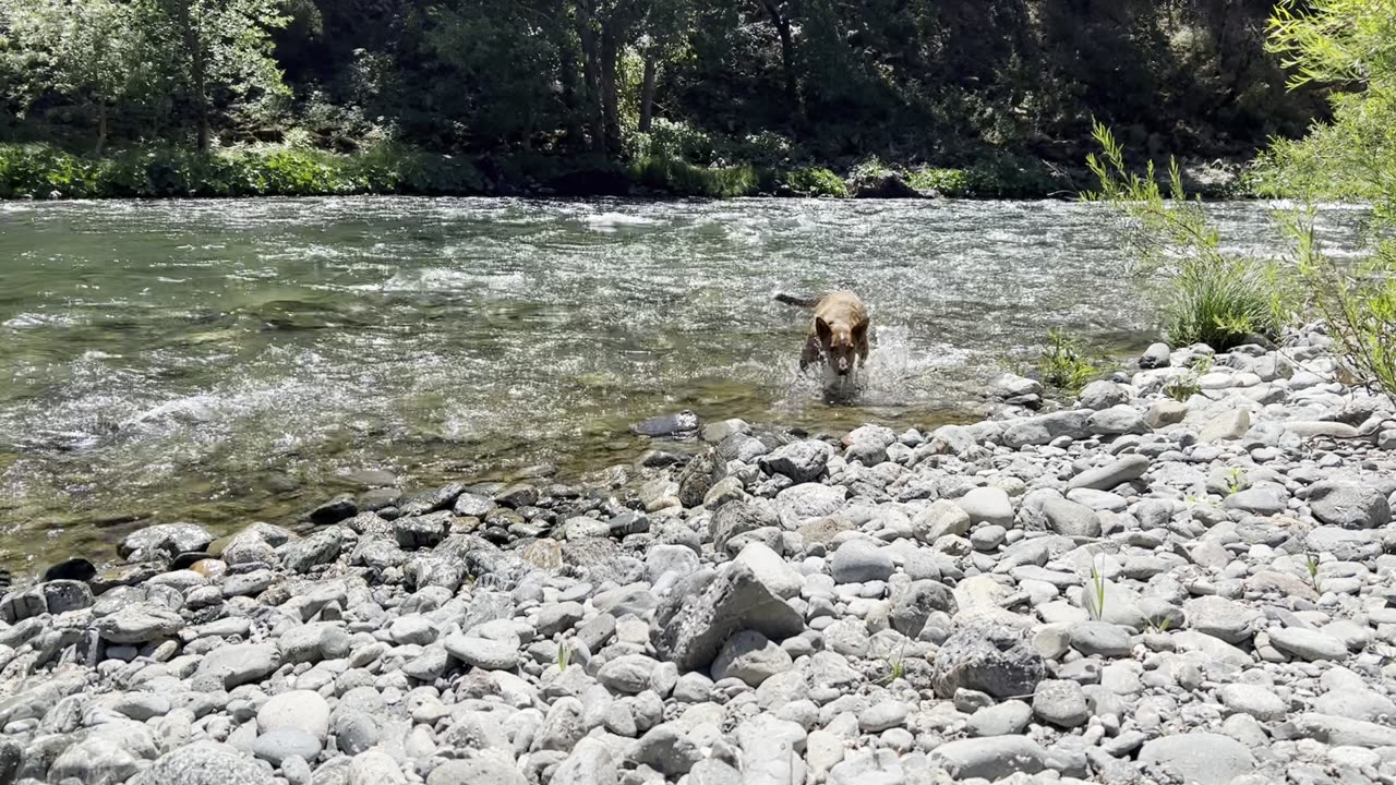 taking a break at the cool stream 29084023984
