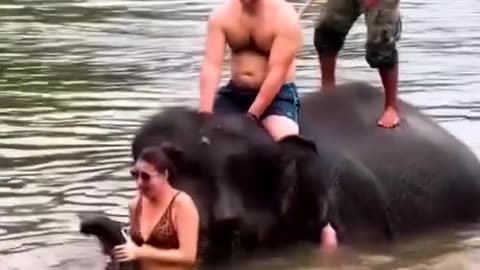 Top video of the day