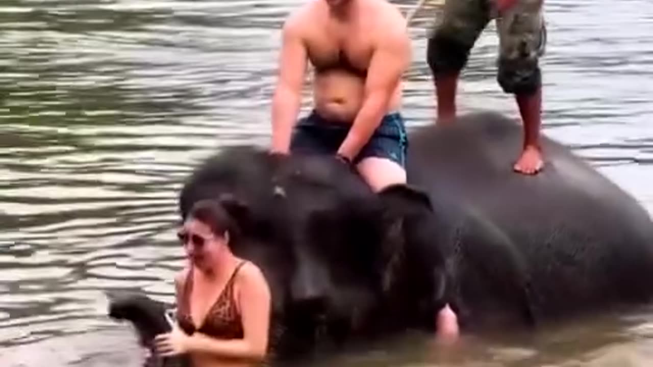 Top video of the day