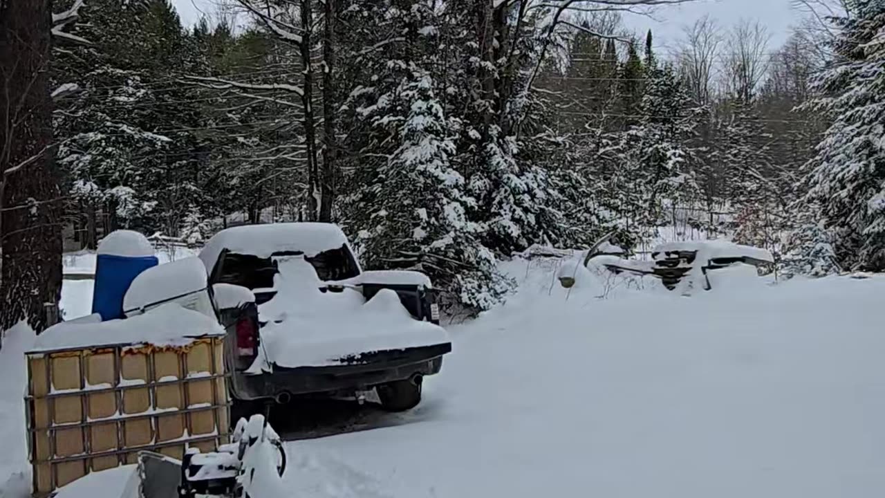 Ice Storm Disaster Averted But...
