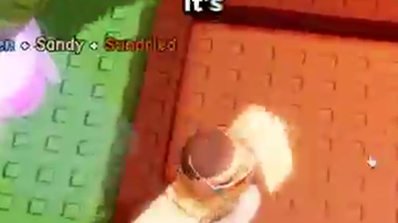 Shocking: New SECRET SEED in Grow a Garden... (ROBLOX)