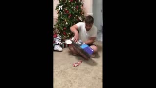 Daddy Goat 24/7 - Out Of Context Memes & Videos