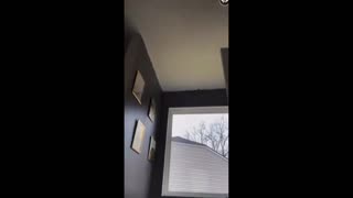 Daddy Goat 24/7 - Out Of Context Memes & Videos