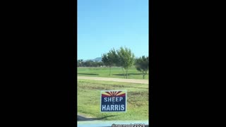 Daddy Goat 24/7 - Out Of Context Memes & Videos