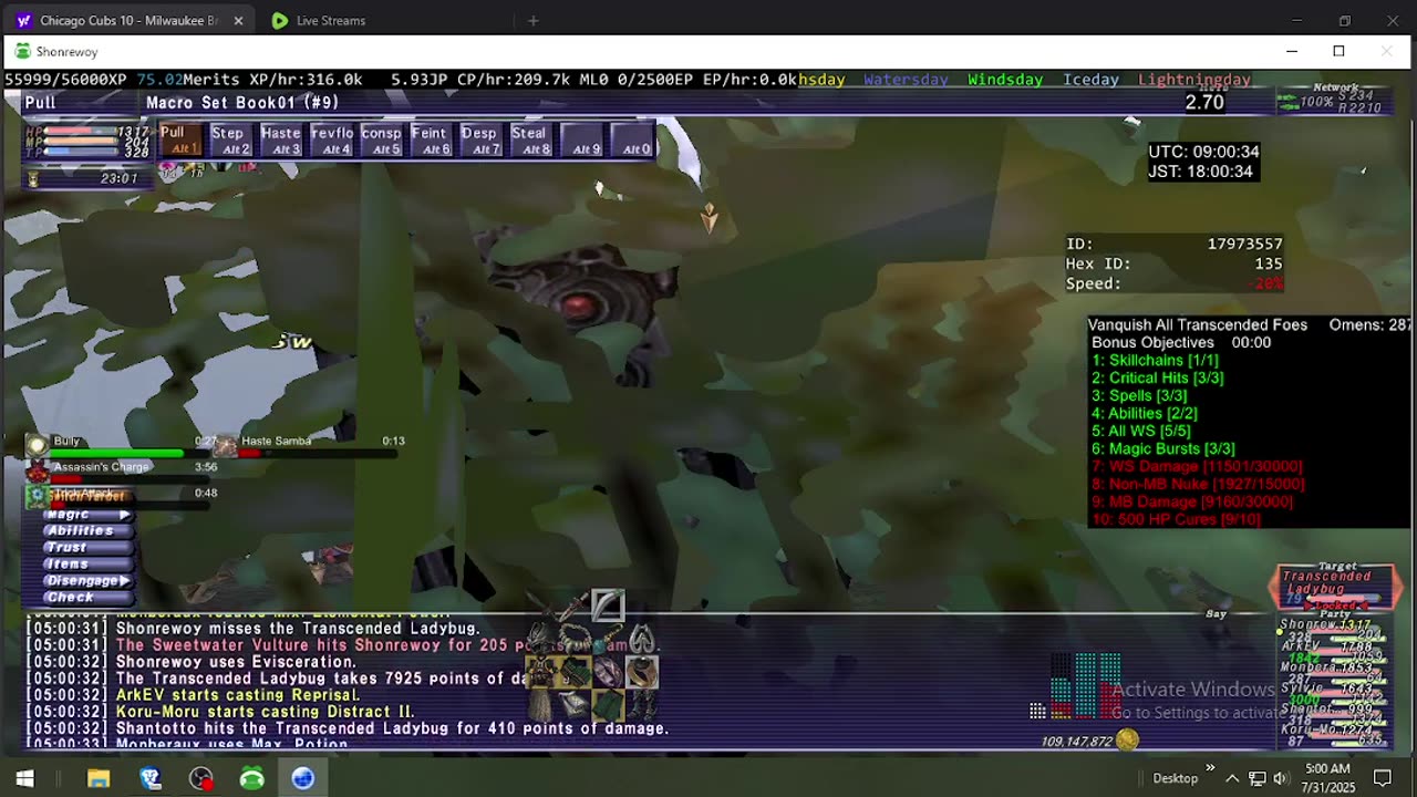 Playing Final Fantasy XI Online