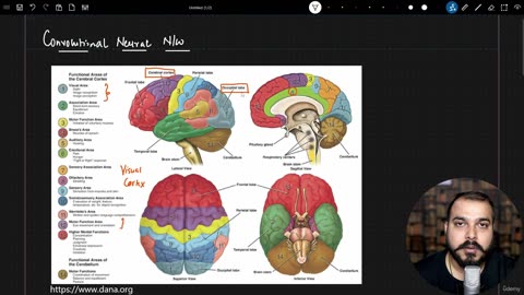 48.32 Human Brain Vs CNN Krish Naik ML