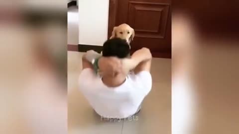 FUNNY ANIMALS 🙀 2025