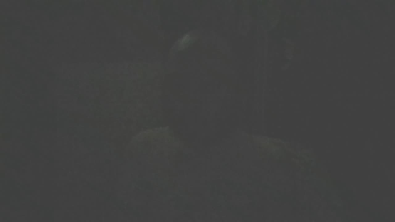 SEASON3-36ARCHIVESEP1