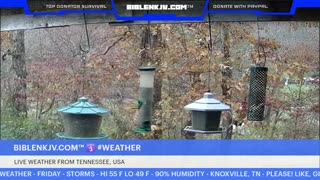 BIBLENKJV.COM™ 🛐 11/07/2025 #LIVE #BIRDCAM #WEATHER