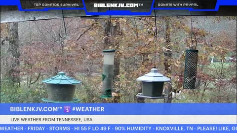 BIBLENKJV.COM™ 🛐 11/07/2025 #LIVE #BIRDCAM #WEATHER