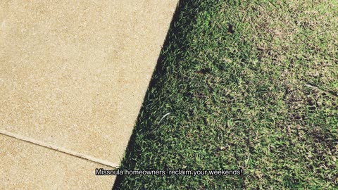Lawn Mowing Team