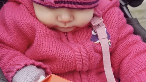 Baby Kayla Helps Bring Home the Groceries — Adorable! 🛒💛