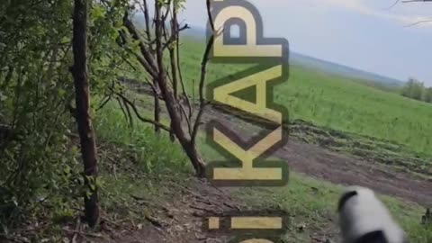 ✊🇺🇦 Ukrainian soldier shoots down a fiber optic FPV drone with small arms.