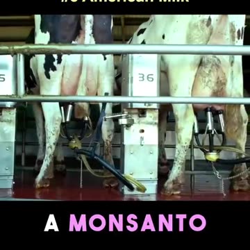 6 American foods that baned in other countries