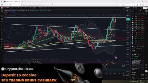 Altseason continues
