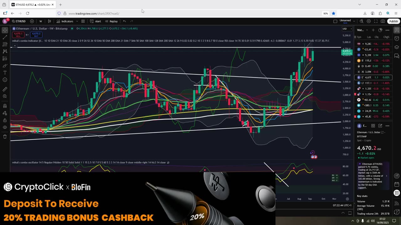 Altseason continues