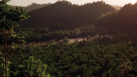 Czas Apokalipsy, Apocalypse Now -1979