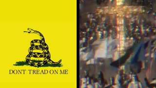 I'm Not Alone