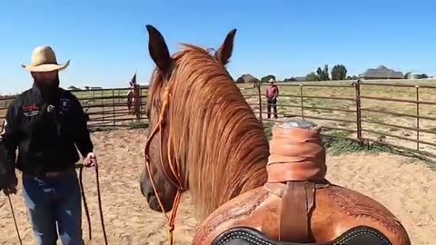 Colorado ranch trains mustangs into adoptable horses