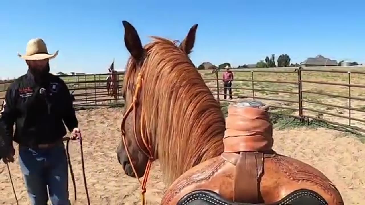 Colorado ranch trains mustangs into adoptable horses