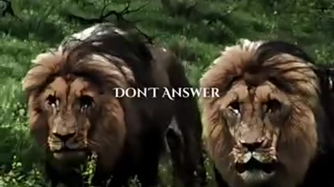 animalsدنیای animals that