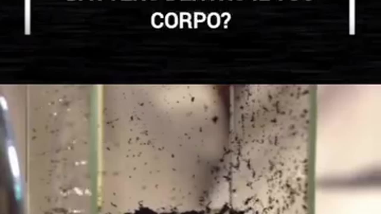 OSSIDO DI GRAFENE: COSA SUCCEDE ALL'INTERNO DEL CORPO
