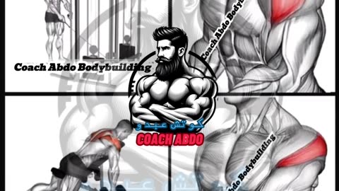 ✅ How to Balance Your Shoulders | أفضل تمارين لتوازن عضلات الكتف 💪