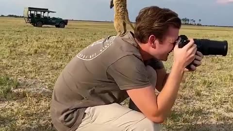 🕵️‍♂️🐒 Meerkat on the Lookout! | FunFM