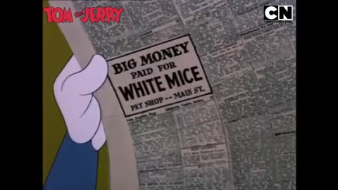 Tom & Jerry fun 😂