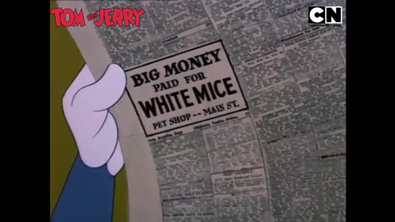 Tom & Jerry fun 😂