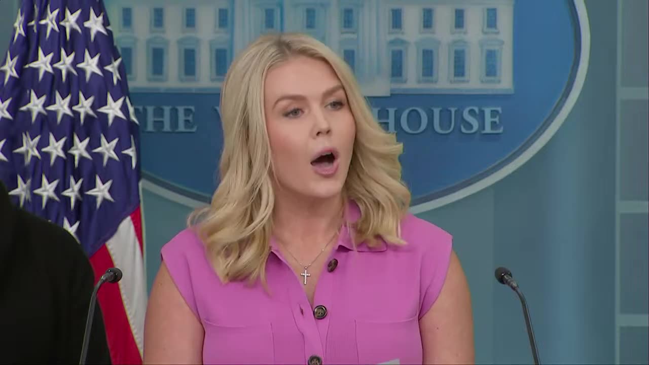 White House press briefing with Karoline Leavitt and a 'special guest'