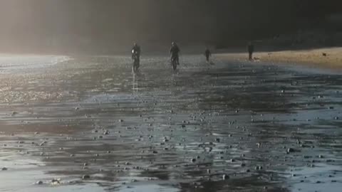 Setting Sun