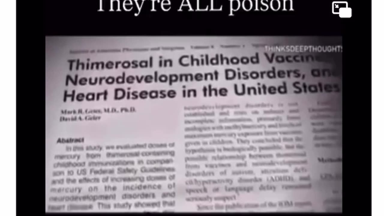 Rothschild BlackRock WEF Power.