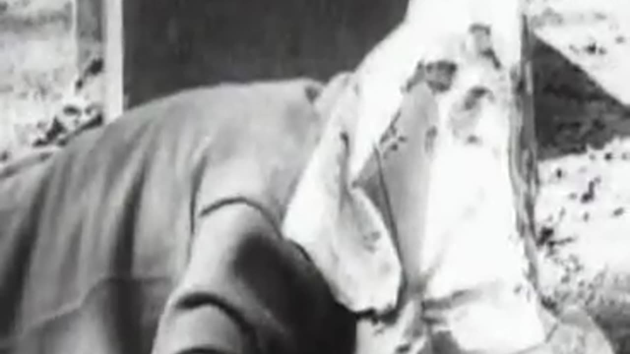 How to Survive an Atomic Bomb - 1951 Propaganda