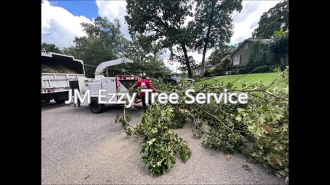 JM Ezzy Tree Service