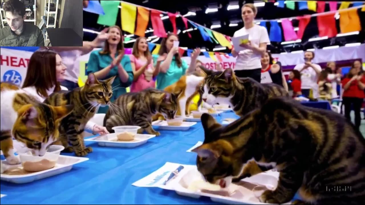 Outtake #1,178 Of The Cats Attempt The Vegan Yogurt Eating Contest Fake Funny Parody Video