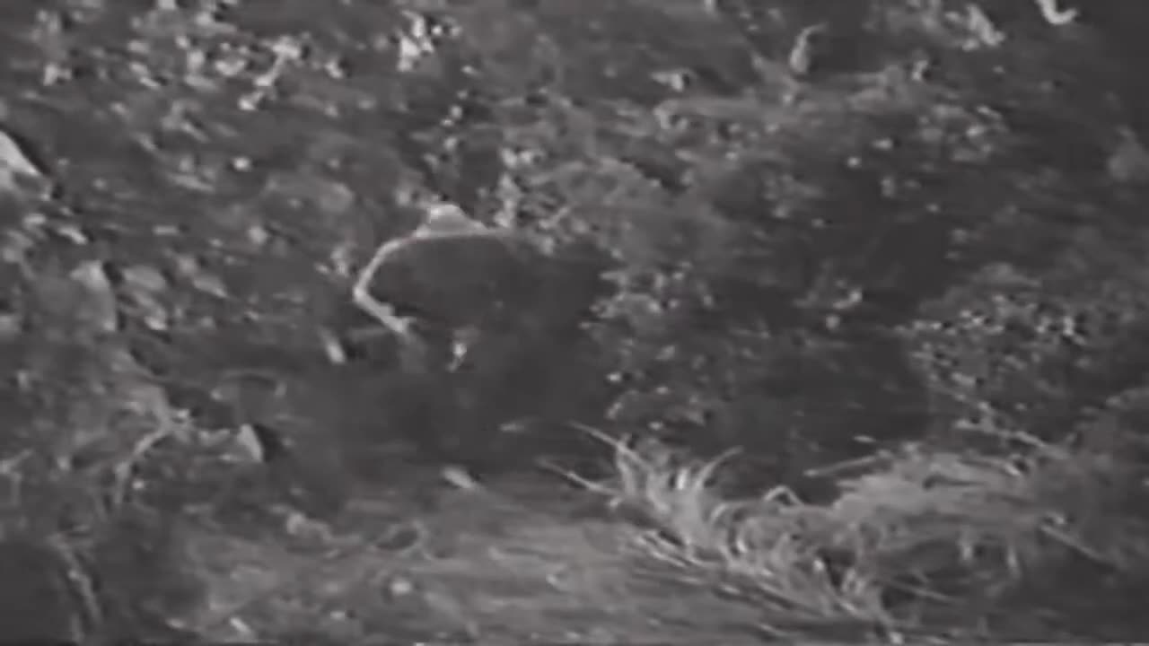 Ramar of the Jungle - episode 17