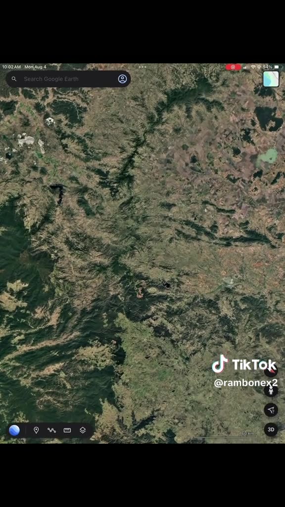 dragons are all over our realm petrified